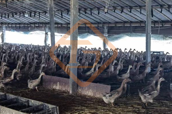 2019年吉林省有機肥設備等農(nóng)機購置補貼政策 2019年吉林省有機肥設備等農(nóng)機購置補貼政策.jpg