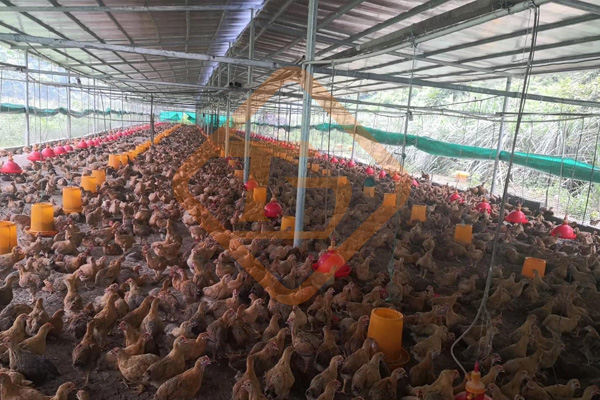 廢棄菌糠發(fā)酵做有機(jī)肥的方法和步驟，顆粒狀菌糠有機(jī)肥生產(chǎn)線有哪些配置